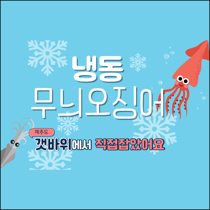제주도 갯바위에서 직접 잡아올린 무늬오징어 판매 (냉동보관) / 1Kg 2만5천원