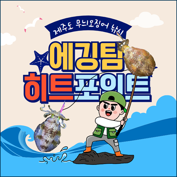 제주도 무늬오징어 낚시 제주에깅팀 홈페이지 히트포인트 컨텐츠 상품 (제주에깅팀 홈페이지 정회원 가입상품)