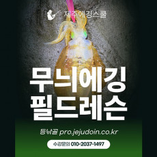 제주도 무늬오징어 에깅낚시 에깅입문 초보자를 위한 2인 에깅레슨(강습) 제주에깅스쿨 필드레슨 수강권